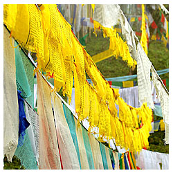 Mystic Bliss Tours