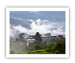 Walk in the Clouds