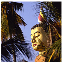 Mystic Bliss Tours